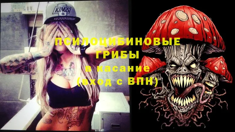 Псилоцибиновые грибы Cubensis  Тара 